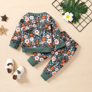 RogPrincekids Baby Girl Clothes Set Long Sleeve Sweatshirts Tops Pants Toddler Girls Cute Floral Outfits (Green, 18-24 Months)