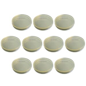 ULTECHNOVO Potato Dextrose Agar Plates, Prepoured Potato Dextrose Agar PDA Petri Dishes - Excellent Growth Medium - Mushrooms & Science Fair Projects