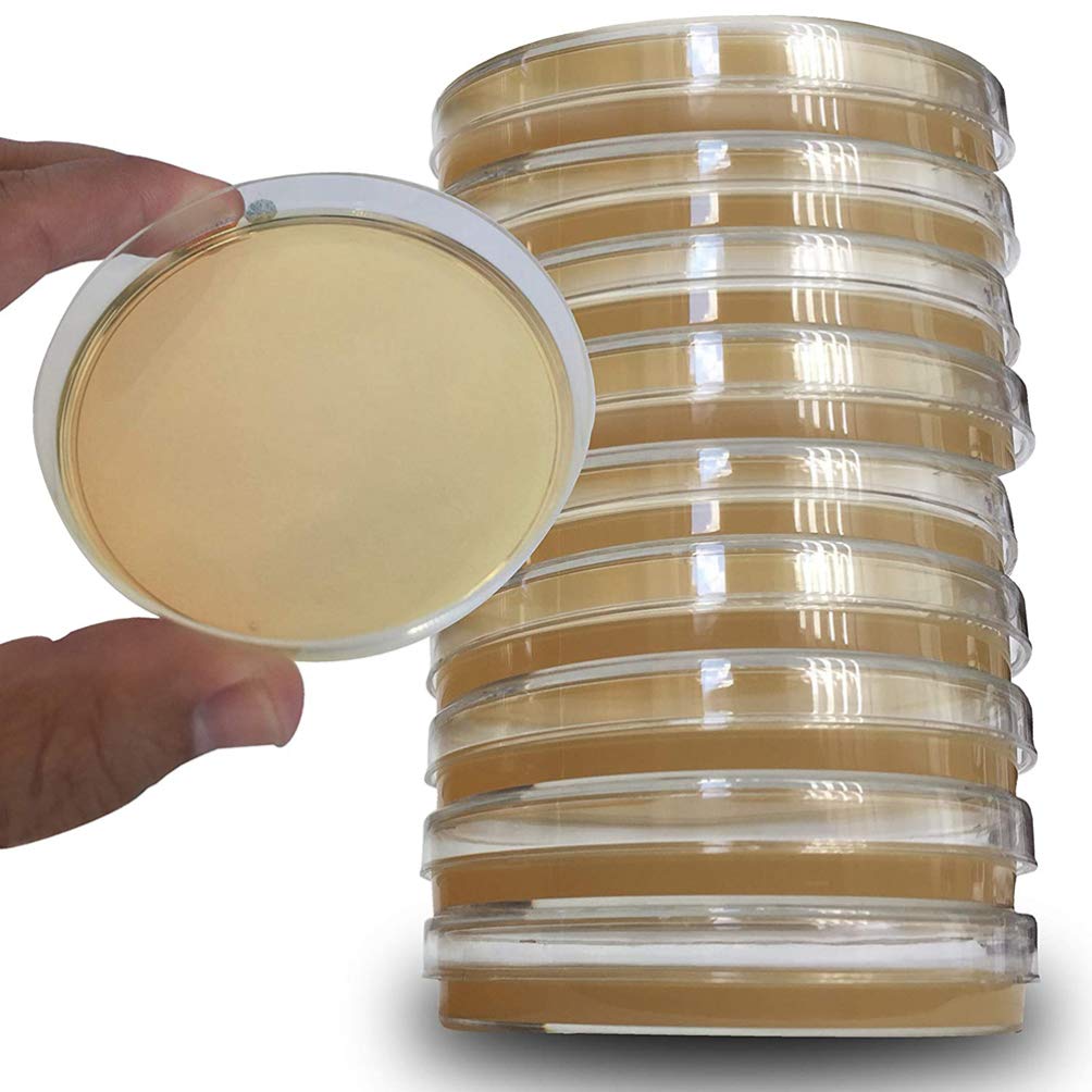 ULTECHNOVO Potato Dextrose Agar Plates, Prepoured Potato Dextrose Agar PDA Petri Dishes - Excellent Growth Medium - Mushrooms & Science Fair Projects