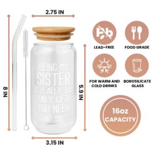 Gifts for Sister - Sister Gifts from Sister, Brother - Birthday Gifts for Sister, Sister Birthday Gifts from Sister - Funny Gifts for Sister - Christmas Gifts for Sister from Sister - 16 Oz Can Glass