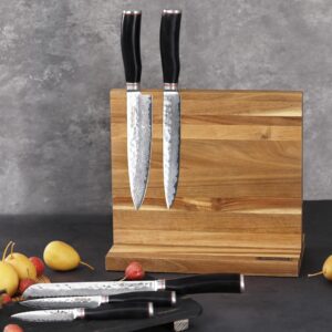 YOUSUNLONG Knife Set Block - 5pcs Kitchen Knives Set with Natural Acacia wood Holder - Japanese Hammered Damascus Steel Blade - Natural Ebony Handle with Gift Box