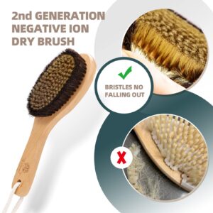 ZP Natural Dry Brushing Body Brush Set, Negative Ion Exfoliating Brush, Ergonomic Grip Design, Exfoliate with Ion Dry Brush to Wake Up The Body