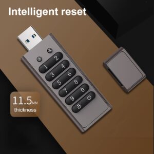 USB Drive Password Protected 256GB 128GB 64GB 32GB 8GB Locking AES - 256-bit Plug and Play USB Flash Drives Drive-free Supports Flash Drive 3.0 Thumb Drive for PC 256GB