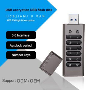 USB Drive Password Protected 256GB 128GB 64GB 32GB 8GB Locking AES - 256-bit Plug and Play USB Flash Drives Drive-free Supports Flash Drive 3.0 Thumb Drive for PC 128GB