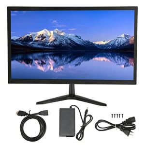 Rendon 23.6 Inch LCD Monitor Builtin Speakers LCD Monitor 1920x1080 for Desktop Computer (US Plug)