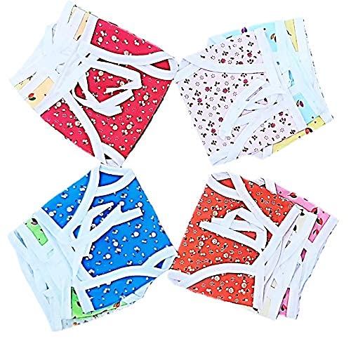 BlueQueen Baby's Cotton Cloth Diapers/Langot Washable and Reusable Nappies (Multicolour, 0-6 Months) Pack of 10 Pieces | Cloth Diapers Reusable for Boys and Girls, Baby Diaper