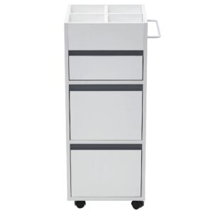 BarberPub Salon Trolley with Drawers Barber Cart Storage Cabinet Beauty Organizer Spa Equipment 2039 (White)