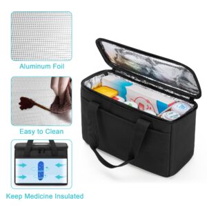 Trunab First Aid Bag Empty Small Medicine Storage Case, Insulated Medication Cooler Bag, Travel Pill Bottle Organizer for Prescription, Insulin, Supplements or Medical Supplies, Black(Bag Only)