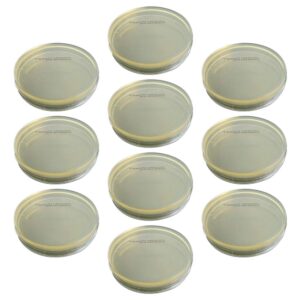 30 Pcs Determine Equipment Agar Medium Agar Plates