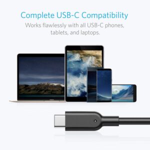 Anker USB C Hub, 556 USB-C Hub (USB4, 8-in-1) with 1.6ft USB4 Cable, 10 Gbps USB-C and USB-A Data Ports, 8K HDMI and DisplayPort Powerline II USB-C to USB 3.1 Gen2 Cable (3ft)