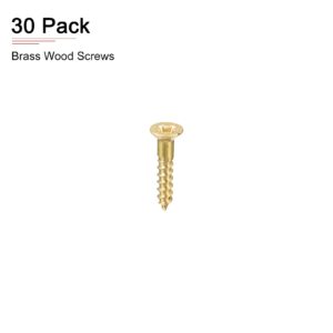 DTGN M4x30mm(DxL) Brass Phillips Wood Screws - 30Pack - Good for Wood Crafts, Furniture - Countersunk Head Self-Tapping Screw - Brass Tone