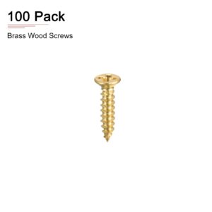 DTGN M2x10mm(DXL) Brass Phillips Wood Screws - 100Pack - Good for Wood Crafts, Furniture - Countersunk Head Self-Tapping Screw - Brass Tone