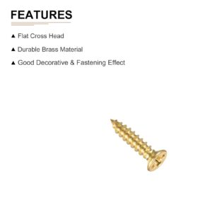 DTGN M2x10mm(DXL) Brass Phillips Wood Screws - 100Pack - Good for Wood Crafts, Furniture - Countersunk Head Self-Tapping Screw - Brass Tone