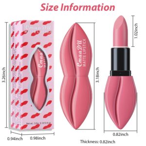 evpct 3Pcs Nude Pink Mauve Brown Matte Velvet Lipstick Set Long Lasting 24 Hours Matte Lip Stick Packs Lip Stain Gloss Makeup Set for Women labiales matte larga duracion 24 05#06#07#