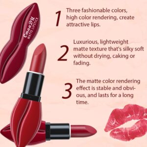 evpct 3Pcs Dark Deep Ruby Light Bright Red Matte Velvet Lipstick Set Long Lasting Smudge Proof Lip Stick Packs Matte Lipstick Lip Stain Makeup Set for Women labiales matte larga duracion 24 01#02#10#