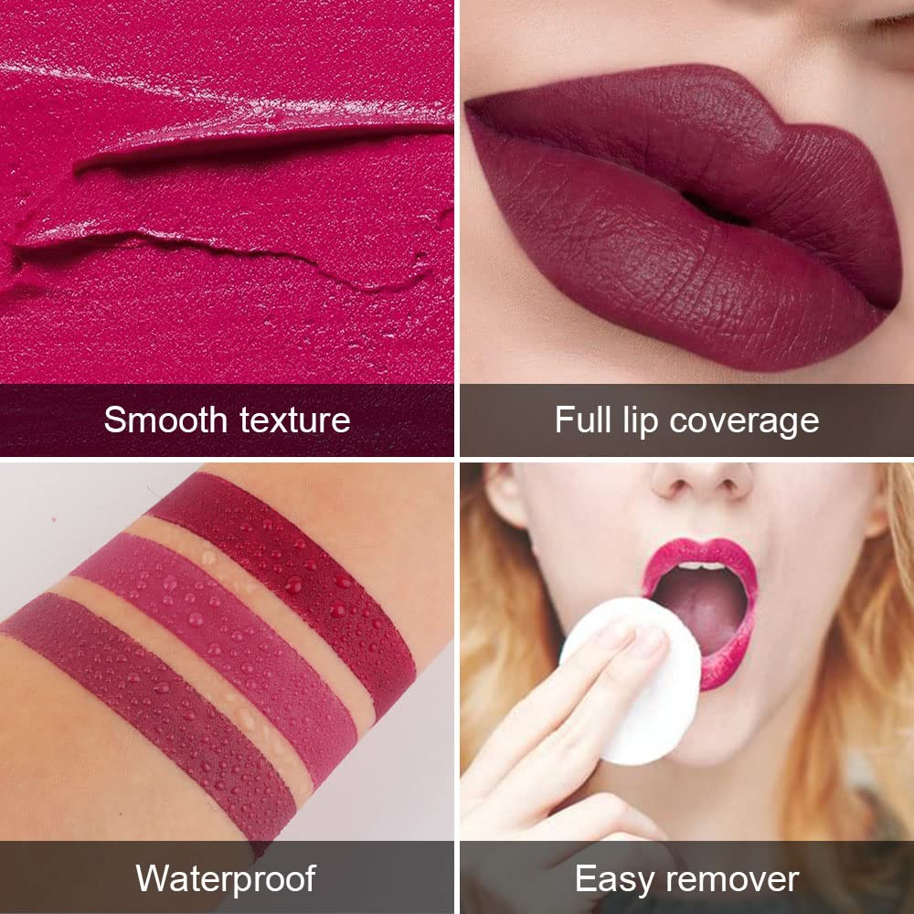 evpct 3Pcs Dark Purple Rose red Mauve Matte Velvet Lipstick Set Long Lasting Waterproof Smudge Proof 24 Hours Lip Stick Packs Lip Stain Makeup Set for Women labiales matte larga duracion 24 03#04#08#