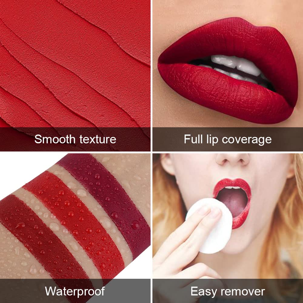 evpct 3Pcs Dark Deep Ruby Light Bright Red Matte Velvet Lipstick Set Long Lasting Smudge Proof Lip Stick Packs Matte Lipstick Lip Stain Makeup Set for Women labiales matte larga duracion 24 01#02#10#