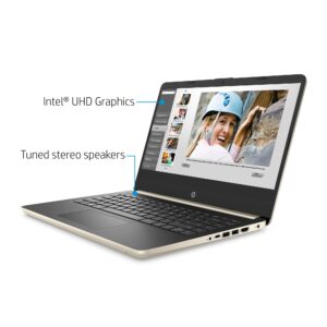 HP 2022 14'' HD Home and Business Laptop PC Intel 10th Gen 2-Core i3-1005G1 32GB DDR4 RAM 1TB M.2 SSD Intel UHD Graphics WiFi AC BT USB-C HDMI RJ45 Webcam Gold Windows 11 Pro w/Accessories