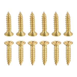 dtgn m2x10mm(dxl) brass phillips wood screws - 100pack - good for wood crafts, furniture - countersunk head self-tapping screw - brass tone