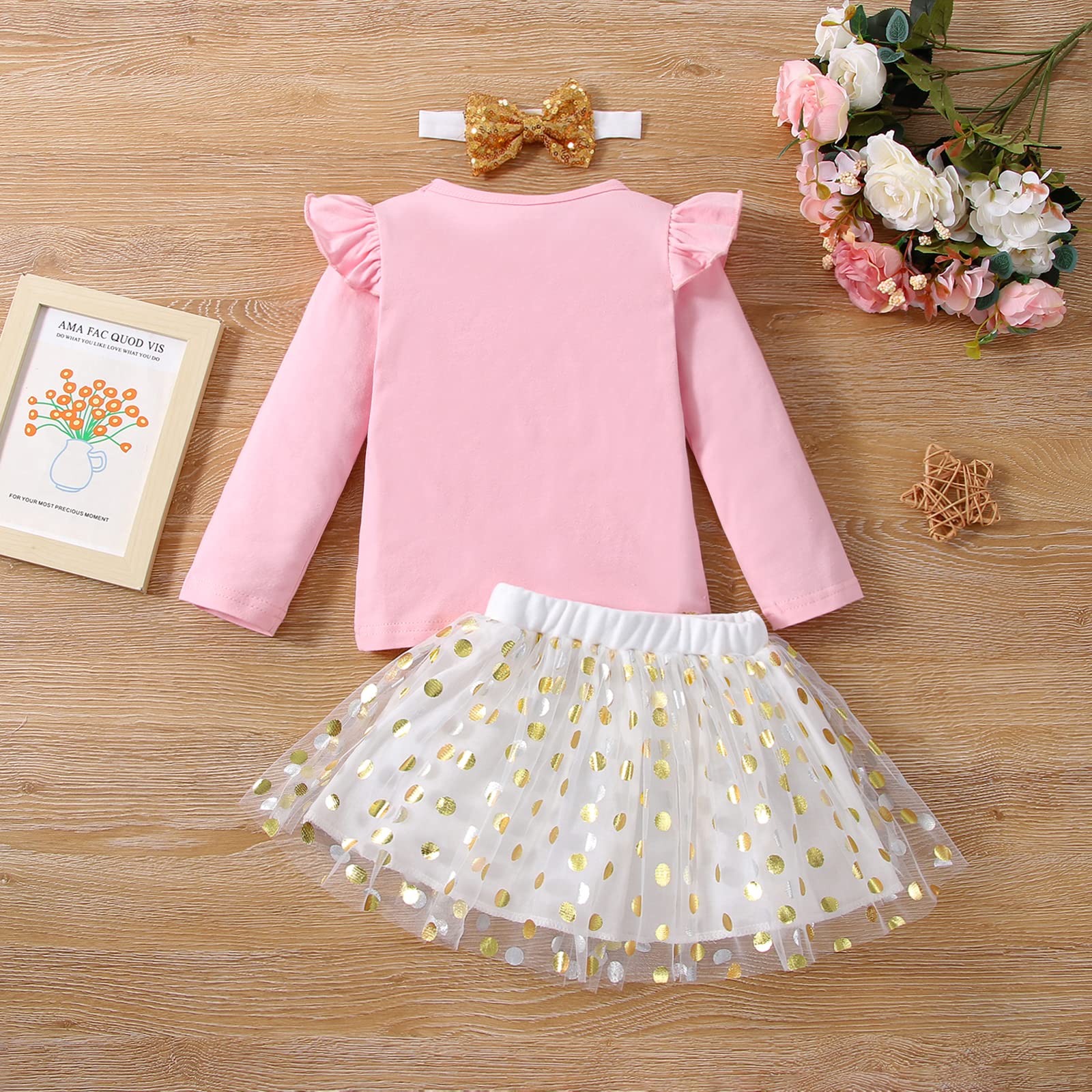 LYQTloml Toddler Kids Baby Announcement Promoted to Big Sister Outfits Long Sleeve T-Shirt Tank Top Dot Mesh Tutu Skirt 2PCS Autumn Skirt Set