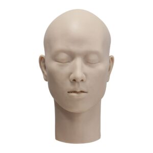 sfxkorea sfx.silicone dummy head (man 1), medical research and testing, medical demonstration, medical training, hairdressing training, display manequin