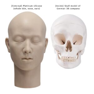 SFXKOREA SFX.Silicone Dummy Head (Man 1), Medical Research and Testing, Medical Demonstration, Medical Training, Hairdressing Training, Display Manequin