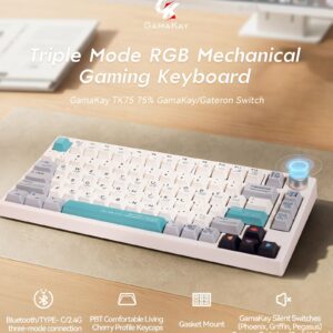 GK GAMAKAY TK75 75% Mechanical Keyboard with Knob Control, Hot Swap RGB Bluetooth 5.0/2.4GHz Wireless/USB-C Wired PBT Cherry Profile Keycaps Gaming Keyboard for Windows Mac (Gateron Red Switch)