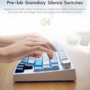 GK GAMAKAY TK75 75% Mechanical Keyboard with Knob Control, Hot Swap RGB Bluetooth 5.0/2.4GHz Wireless/USB-C Wired PBT Cherry Profile Keycaps Gaming Keyboard for Windows Mac (Gateron Red Switch)