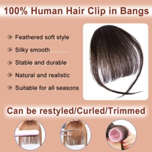 NEHAJUNXI Bangs Hair Clip in bangs 100% Human Hair Extensions Dark Brown Wispy Bangs Clip on Bangs for Women Fringe with Temples Hairpieces Curved Bangs for Daily Wear (Wispy Bangs, Dark Brown)