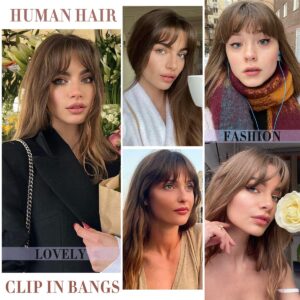 NEHAJUNXI Bangs Hair Clip in bangs 100% Human Hair Extensions Dark Brown Wispy Bangs Clip on Bangs for Women Fringe with Temples Hairpieces Curved Bangs for Daily Wear (Wispy Bangs, Dark Brown)