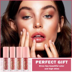 4Pcs Shimmer Lip Gloss Set Plumping Liquid Nude Lipstick Set Moisturizing Lip Stain Long Lasting Waterproof Non-Stick Cup Not-Fade Shiny Lip Gloss Set for Women Glitter Lip Makeup Kit - Set A