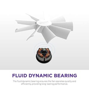 NZXT F140 RGB Duo Twin Pack - 2 x 140mm Dual-Sided RGB Fans with RGB Controller – 20 Individually Addressable LEDs – Balanced Airflow and Static Pressure – Fluid Dynamic Bearing – PWM – White