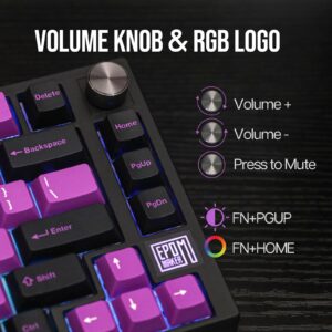 EPOMAKER TH80 SE Gasket 75% Mechanical Keyboard, NKRO Hot Swappable RGB 2.4Ghz/ Bluetooth 5.0/ Wired Gaming Keyboard with Poron/EVA Foam, 4000mah Battery (Black Purple, Budgerigar Switch)