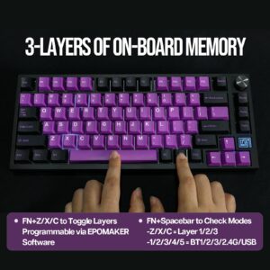 EPOMAKER TH80 SE Gasket 75% Mechanical Keyboard, NKRO Hot Swappable RGB 2.4Ghz/ Bluetooth 5.0/ Wired Gaming Keyboard with Poron/EVA Foam, 4000mah Battery (Black Purple, Budgerigar Switch)