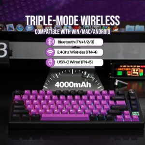 EPOMAKER TH80 SE Gasket 75% Mechanical Keyboard, NKRO Hot Swappable RGB 2.4Ghz/ Bluetooth 5.0/ Wired Gaming Keyboard with Poron/EVA Foam, 4000mah Battery (Black Purple, Budgerigar Switch)