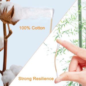 1000 ct (2000 Tips) Bamboo Cotton Swabs - Biodegradable Double Tips Cotton Buds - Natural Organic Cotton Swabs - Pure Cotton Buds For Ear Beauty & Personal Care