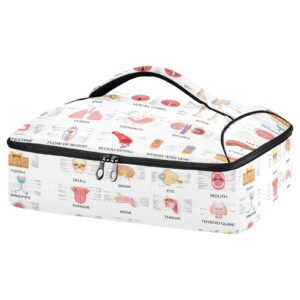 diagram of different human organs on white background reusable insulated pizza bag, waterproof food delivery bag, with handle lid leakproof pizza holder tote for hot or cold food