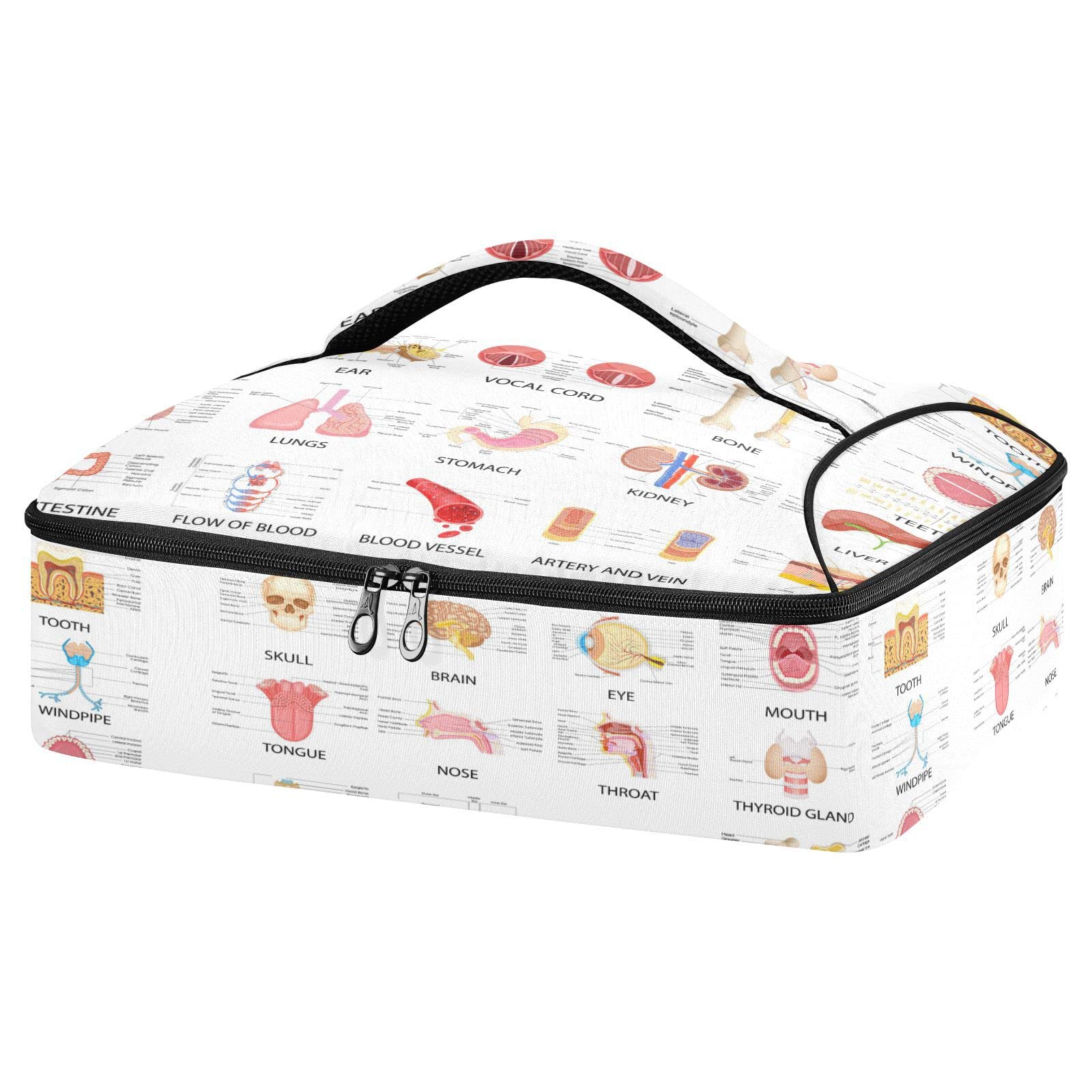 Diagram of Different Human Organs on White Background Reusable Insulated Pizza Bag, Waterproof Food Delivery Bag, with Handle Lid Leakproof Pizza Holder Tote for Hot or Cold Food