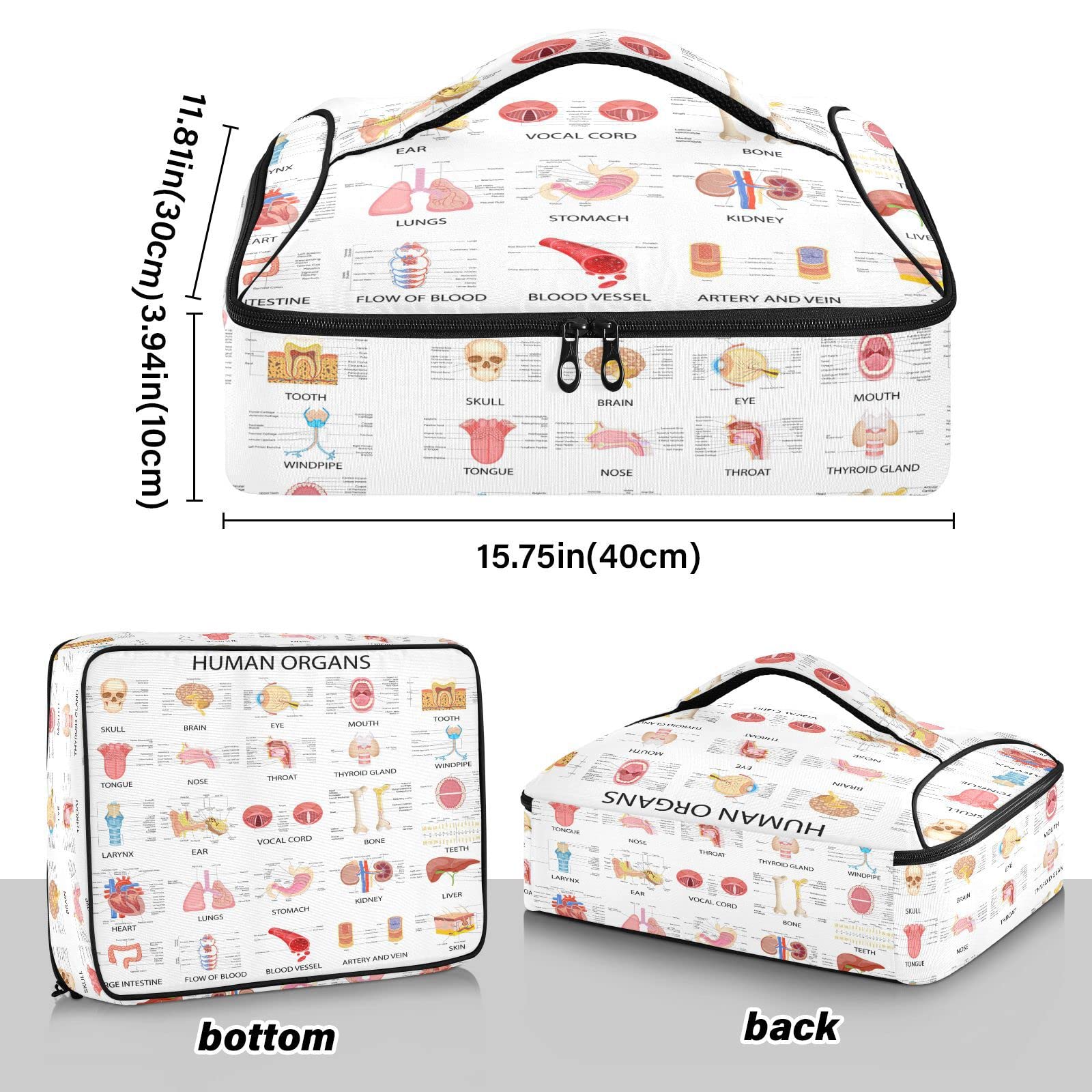 Diagram of Different Human Organs on White Background Reusable Insulated Pizza Bag, Waterproof Food Delivery Bag, with Handle Lid Leakproof Pizza Holder Tote for Hot or Cold Food