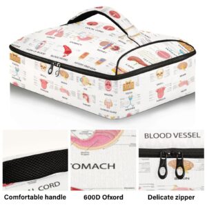 Diagram of Different Human Organs on White Background Reusable Insulated Pizza Bag, Waterproof Food Delivery Bag, with Handle Lid Leakproof Pizza Holder Tote for Hot or Cold Food