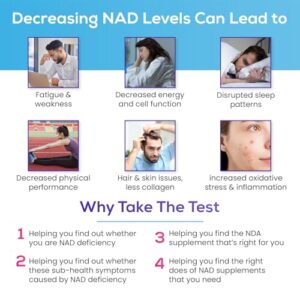 Jinfiniti-Intracellular NAD Test -Measure Your NAD Level- Accurate Results from a CLIA Certified Lab