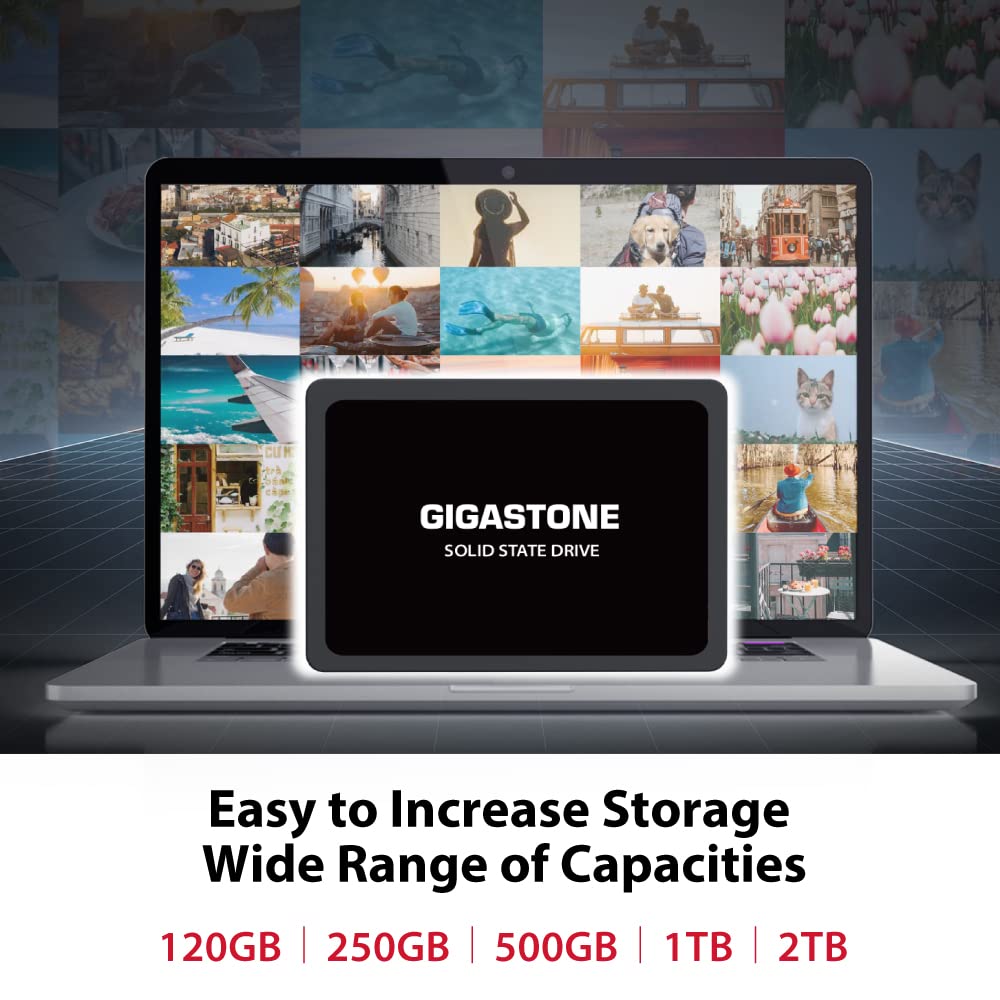 Gigastone SATA SSD 120GB (10-Pack) 2.5 inch SSD 500MB/s Upgrade Laptop PC Memory and Storage PS4 HDD Replacement 2.5" Internal Solid State Hard Drives SATA III SLC Cache 3D NAND Increase Performance