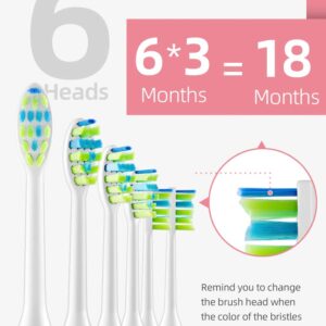 7AM2M Rechargeable Sonic Electric Toothbrush AM100 Package with 10 Brush Heads