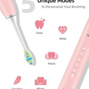 7AM2M Rechargeable Sonic Electric Toothbrush AM100 Package with 10 Brush Heads