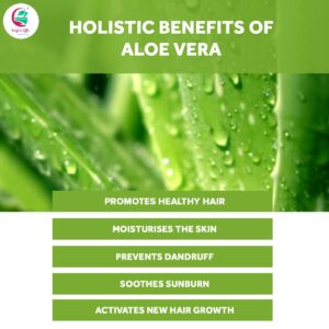 YOGI’S GIFT – Celebrating health Multi Pack | Herbal Hair Oil Mix - 2 Pack + Aloe Vera Powder for bundle