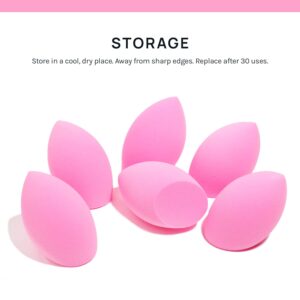 AOA Studio Collection Makeup Sponge Set Makeup Blender Latex Free and High-definition Super Soft Set of 6 Makeup Blender For Powder Cream and Liquid, Beauty Cosmetic Beveled Shape (Pink)