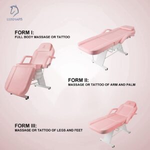 LUXMARS Facial Chair, Tattoo Chair Massage Bed with Hydraulic Stool for Professional Massage Facial Lash Beauty Treatment Spa, Pink