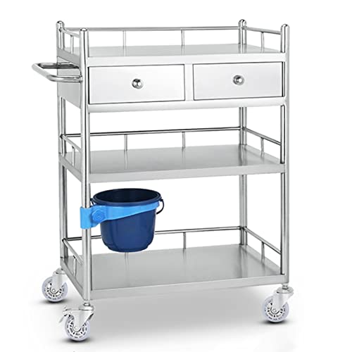 Medical Cart, Physiotherapy and Hairdressing Beauty Cart Rack, Surgical Instrument Storage Nursing Cart, Medical Stainless Steel Equipment Cart, Multiple Sizes. ( Size : 60x40cm(23.6x15.7in) )