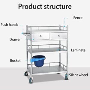 Medical Cart, Physiotherapy and Hairdressing Beauty Cart Rack, Surgical Instrument Storage Nursing Cart, Medical Stainless Steel Equipment Cart, Multiple Sizes. ( Size : 60x40cm(23.6x15.7in) )