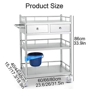 Medical Cart, Physiotherapy and Hairdressing Beauty Cart Rack, Surgical Instrument Storage Nursing Cart, Medical Stainless Steel Equipment Cart, Multiple Sizes. ( Size : 60x40cm(23.6x15.7in) )